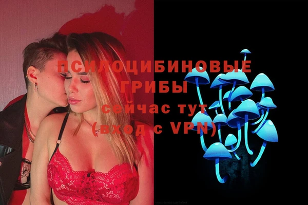 PSILOCYBIN Навашино